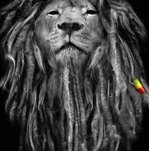 Meet your Posher, Kenyatta